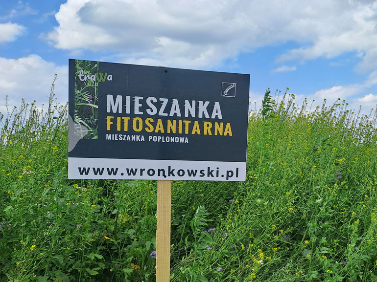 Mieszanka fitosanitarna – Rewolucja w Leczeniu Gleby. Dlaczego Warto Stawiać na Sprawdzone Międzyplony i Poplony?Mieszanka fitosanitarna – „leczy glebę” potwierdzono to w polu i badaniach.