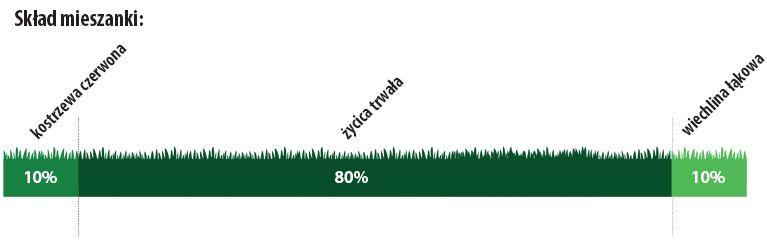 sportowa-BANER2025 sportowa-BANER2025