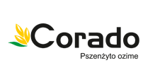 Corado2